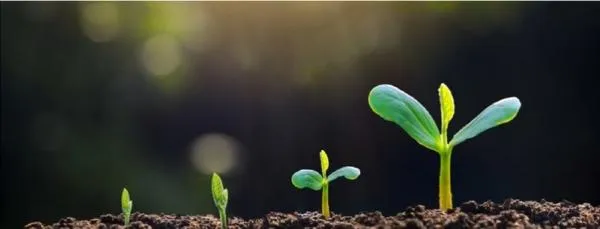 Air Liquide collabora con Rothschild e la Solar Impulse Foundation per accelerare lo sviluppo di soluzioni sostenibili