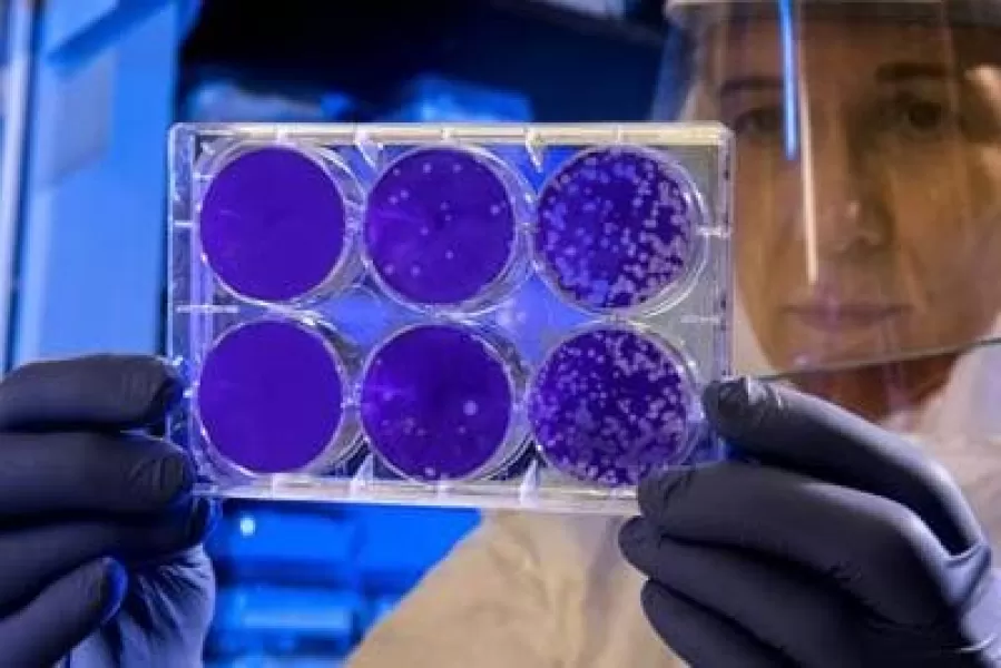 coltura delle celle-farmaceutica e biotech