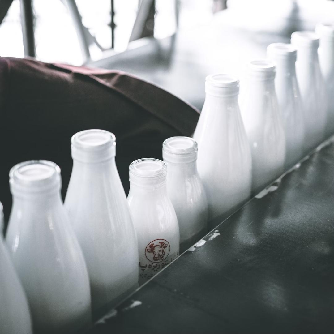Solutions pour la transformation des produits laitiers