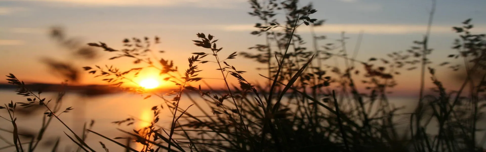 Ridurre emissioni CO2