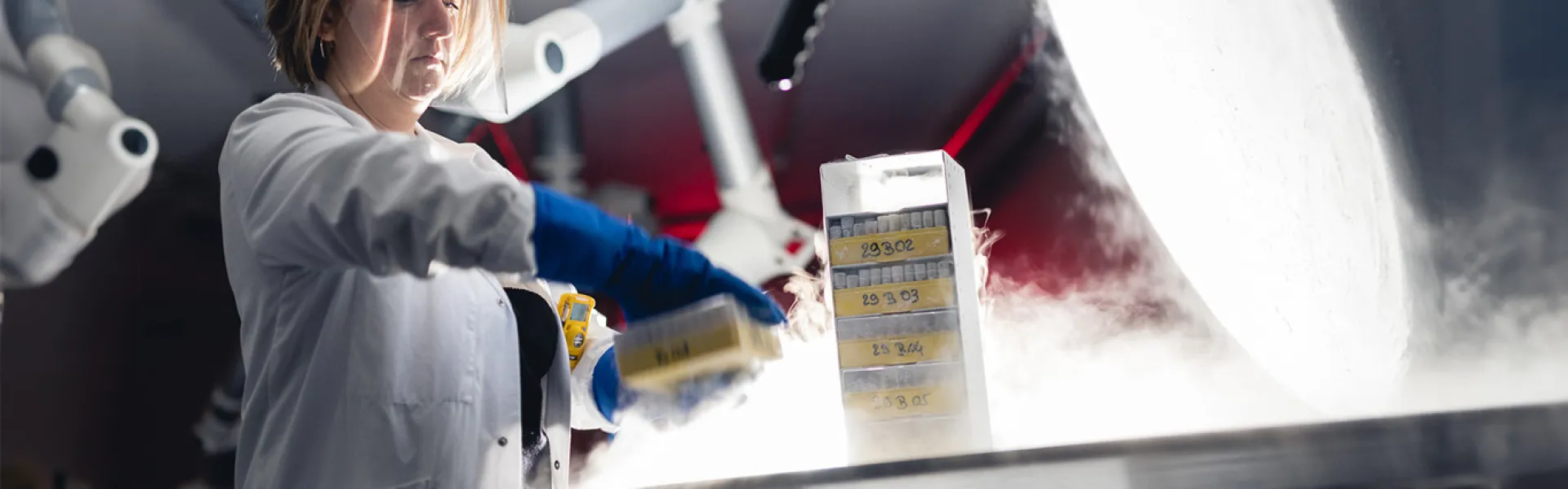 Attrezzature e servizi gas per la ricerca e l'analisi in laboratorio