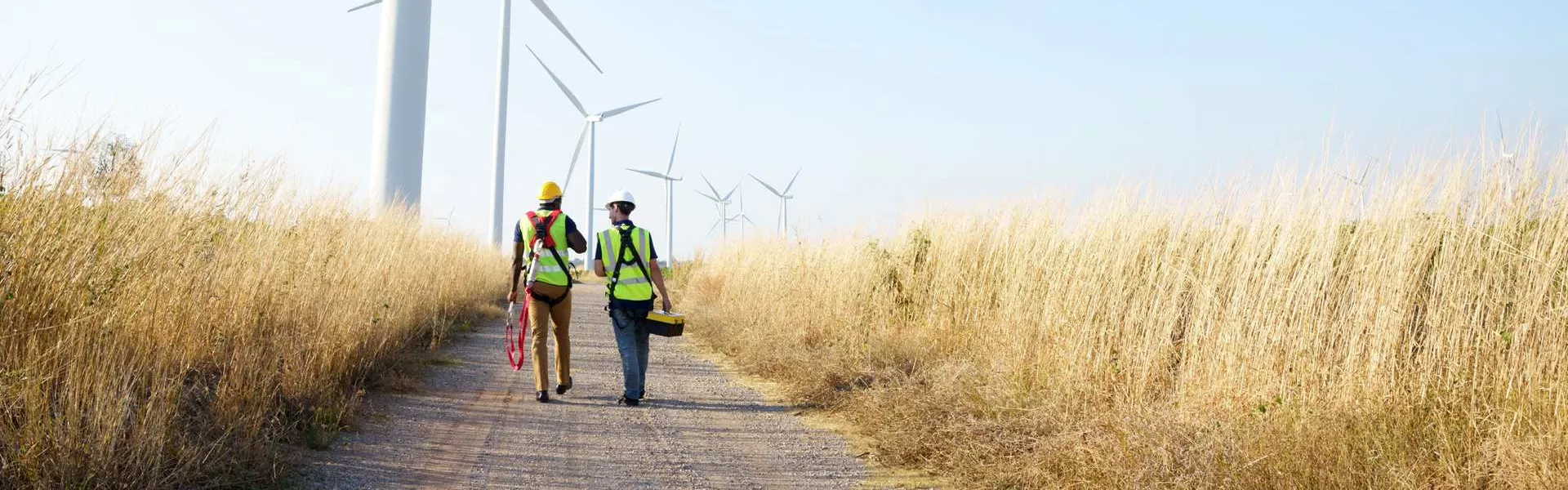 Due operai specializzati davanti a delle turbine eoliche onshore in un campo di grano