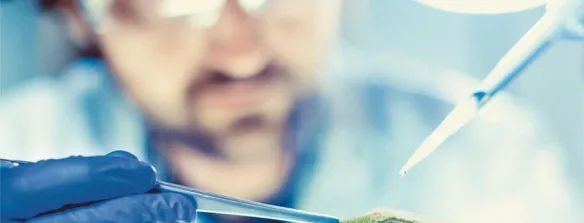 Air Liquide annuncia un importante investimento a Taiwan per entrare in due dei più avanzati bacini di semiconduttori del mondo