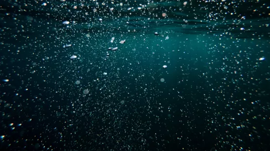 Scopri il trattamento biologico acque reflue - Air Liquide