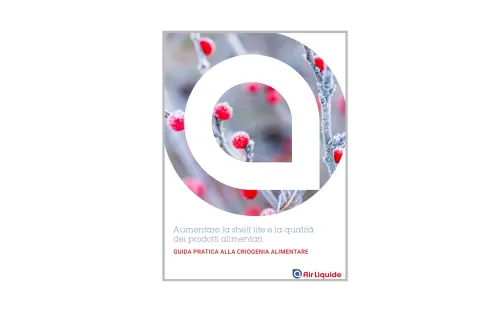 eBook surgelazione criogenica - Air Liquide