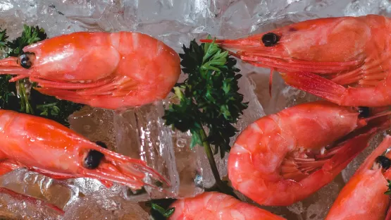 Conservation des crustacés et poissons