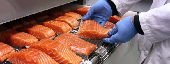 Industria alimentare