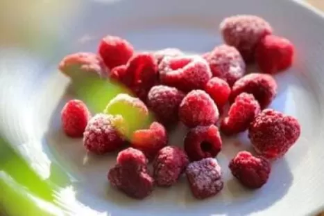 Surgelazione alimenti