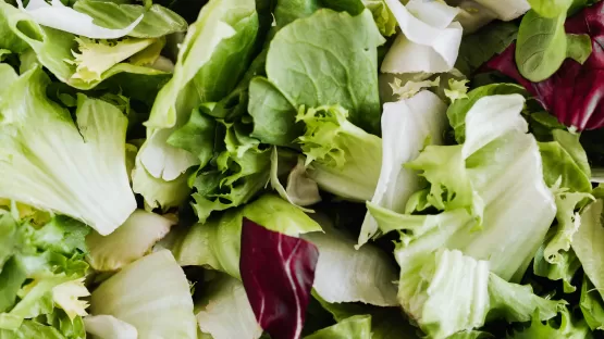 Gaz industriels de qualité alimentaire ALIGAL