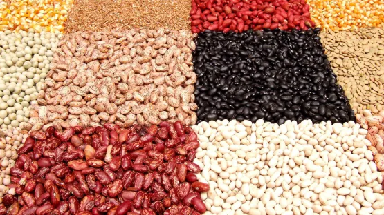 Alternative Proteine für Fleischersatzprodukte basieren auf pflanzlichen Proteinquellen wie Soja, Nüssen oder Hülsenfrüchten