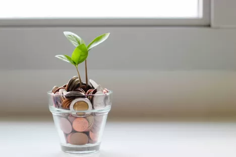 visibilità del budget