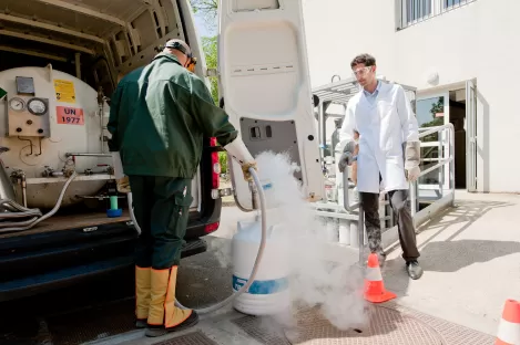 Solutions pour commander une petite quantité d’azote liquide