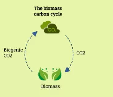 SWE_ECO ORIGIN CO2
