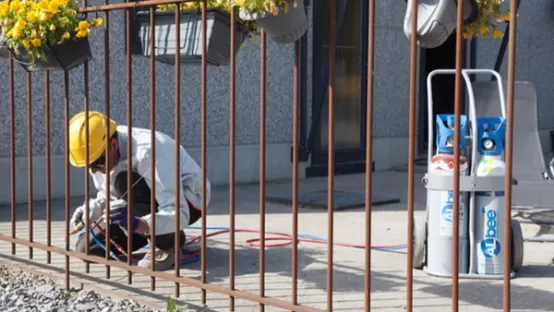 application_with_albee_flame