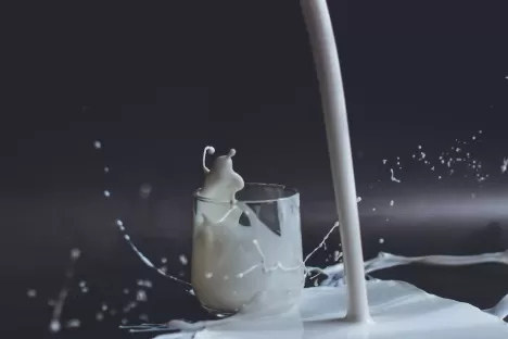 Maximisez la qualité des fromages: le rôle clé du CO2 pour la standardisation du pH du lait 