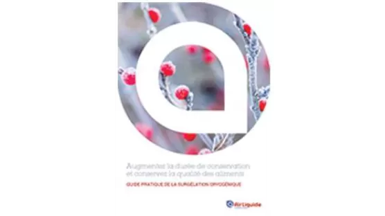 Ebook Cryogénie alimentaire