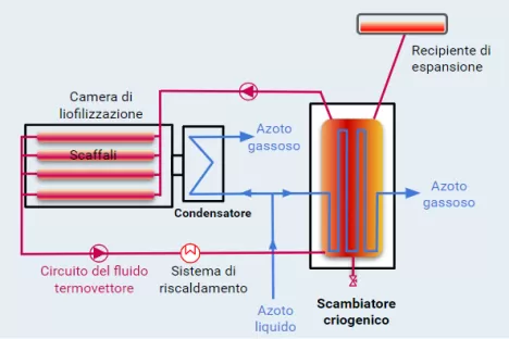 lyophilisation circuit