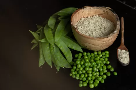 Cryobroyage et broyage