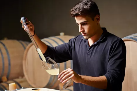 deossigenazione vino