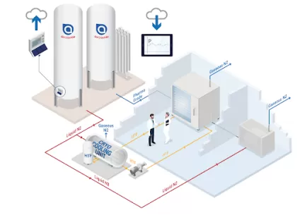 lyophilisation schema