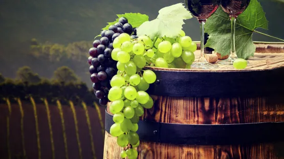 Soluzioni per la produzione dei migliori vini