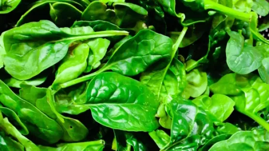 Solution de conservation sous atmosphère des végétaux