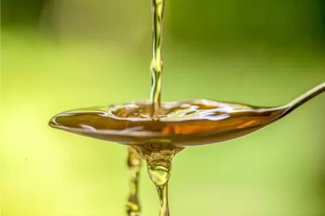 L’inertage à l’azote - Huile