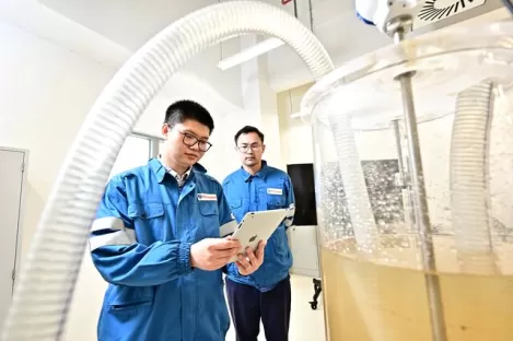 Assistenza tecnica specializzata per i tuoi processi