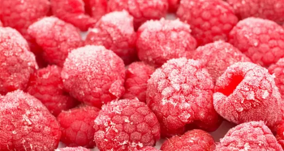 Industria alimentare - criogenia