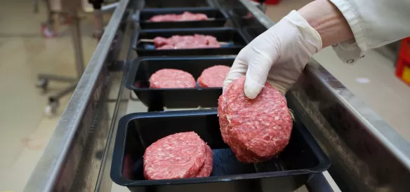 Confezionamento in atmosfera protettiva (MAP)