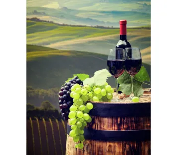 Controllo dei gas disciolti: preservare la qualità del vino, dalla vite alla bottiglia