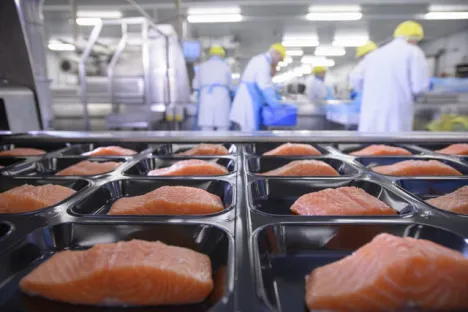 Applicazioni dell'Ossigeno nei settori Food & Pharma - M.A.P. - Salmone