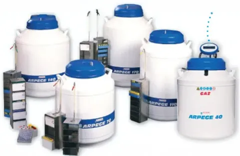 Materiali per la crioconservazione: protezione assoluta dei tuoi campioni