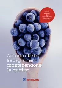 eBook Surgelzione criogenica soluzione Air Liquide
