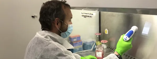 Fibrosi cistica: combattere la superinfezione batterica