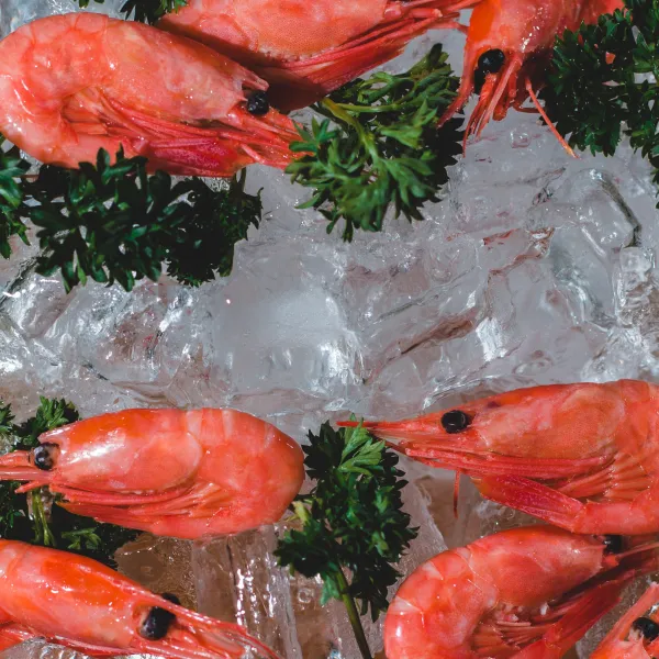 Conservation des crustacés et poissons