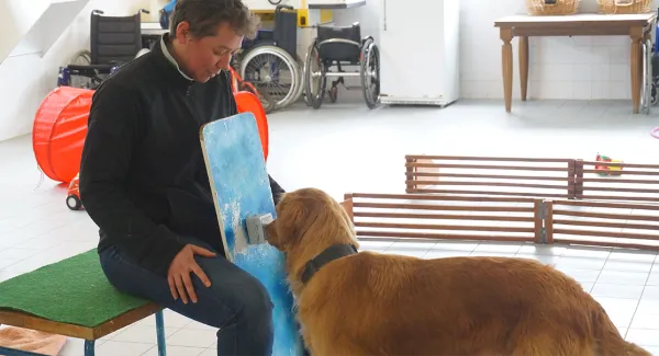 handi'chiens air liquide