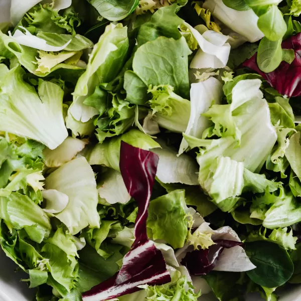 Gaz industriels de qualité alimentaire ALIGAL
