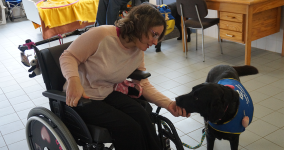  Addestrare i cani da assistenza per favorire l’indipendenza delle persone a mobilità ridotta