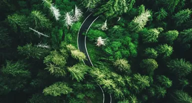 Dal biogas al biometano: a Ecomondo, il modello circolare di Air Liquide che unisce industria e agricoltura