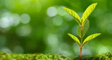 Air Liquide rafforza i suoi investimenti nelle start-up a impatto attraverso ALIAD