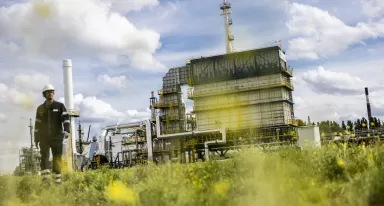 carbon neutrality