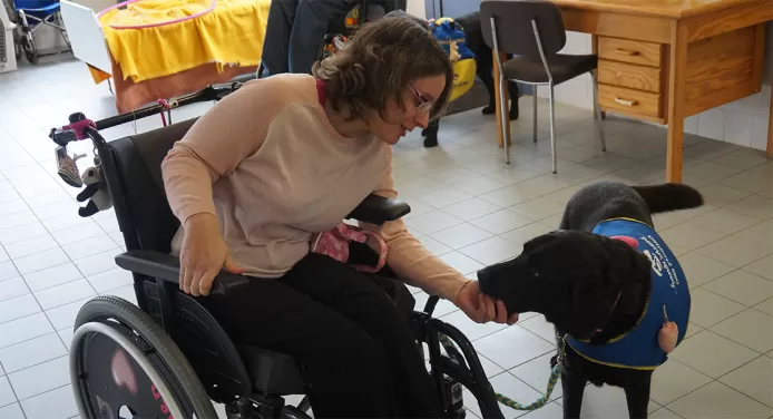Addestrare i cani da assistenza per favorire l’indipendenza delle persone a mobilità ridotta