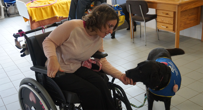  Addestrare i cani da assistenza per favorire l’indipendenza delle persone a mobilità ridotta