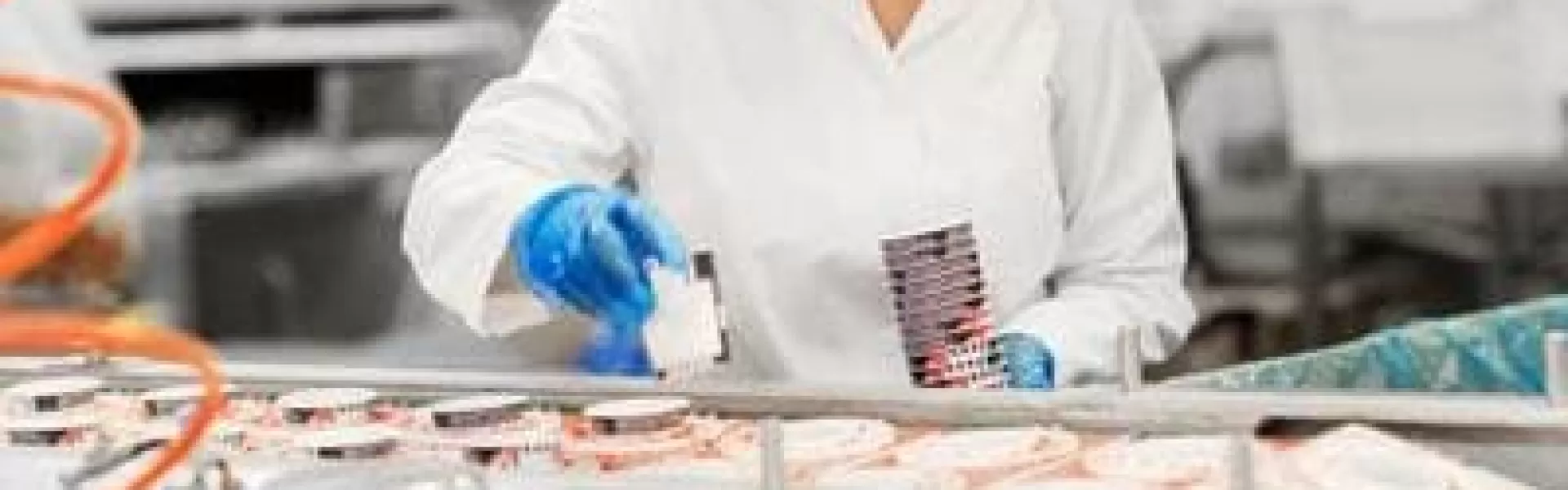 Industri livsmedel produktion
