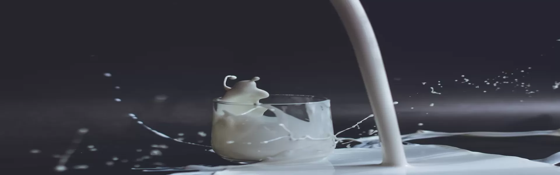 Maximisez la qualité des fromages: le rôle clé du CO2 pour la standardisation du pH du lait 