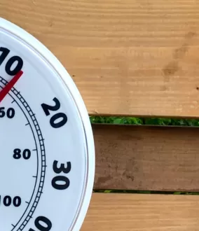Thermometer