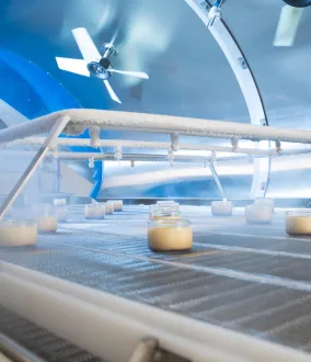 Criogenia alimentare