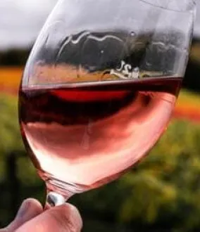 Macerazione Carbonica