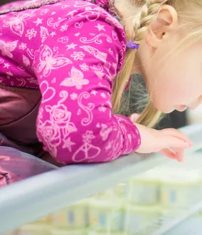 CO2_R744_gas_refrigerante